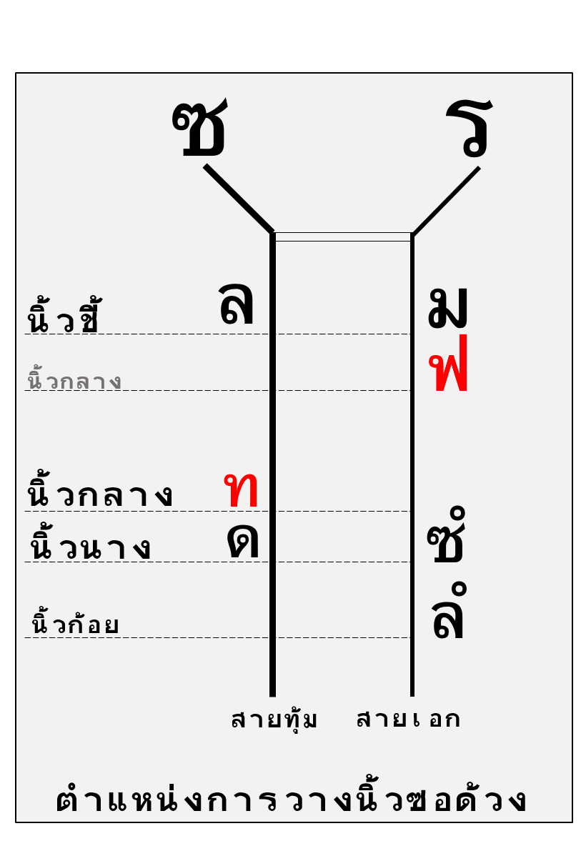 ตำแหน่งการวางนิ้ว