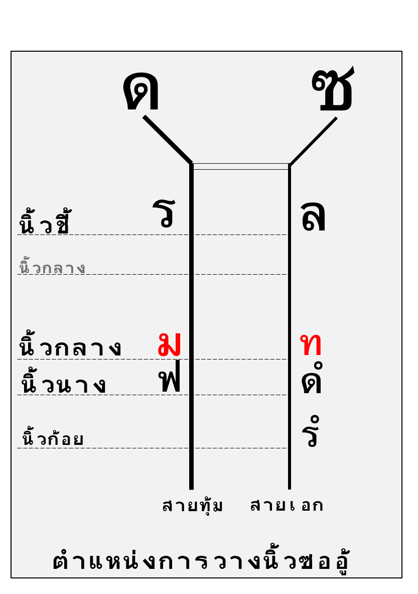 ตำแหน่งการวางนิ้ว